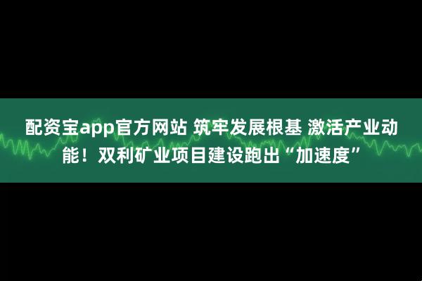配资宝app官方网站 筑牢发展根基 激活产业动能!双利矿业项目建设跑出“加速度”