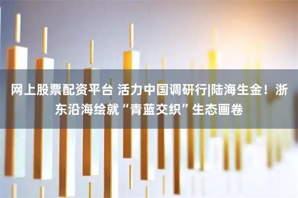网上股票配资平台 活力中国调研行|陆海生金！浙东沿海绘就“青蓝交织”生态画卷