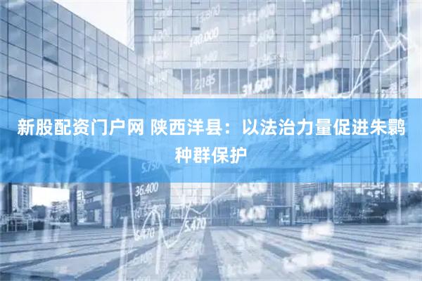 新股配资门户网 陕西洋县：以法治力量促进朱鹮种群保护