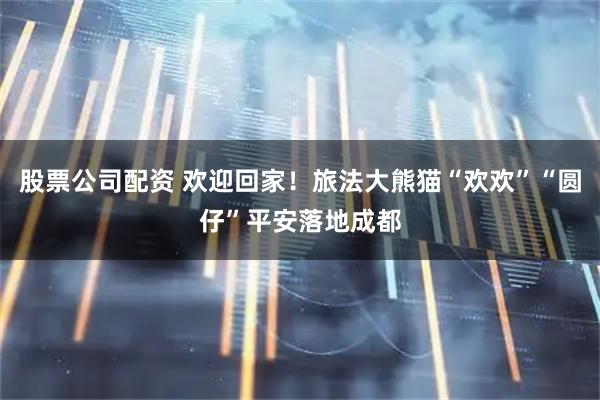 股票公司配资 欢迎回家！旅法大熊猫“欢欢”“圆仔”平安落地成都